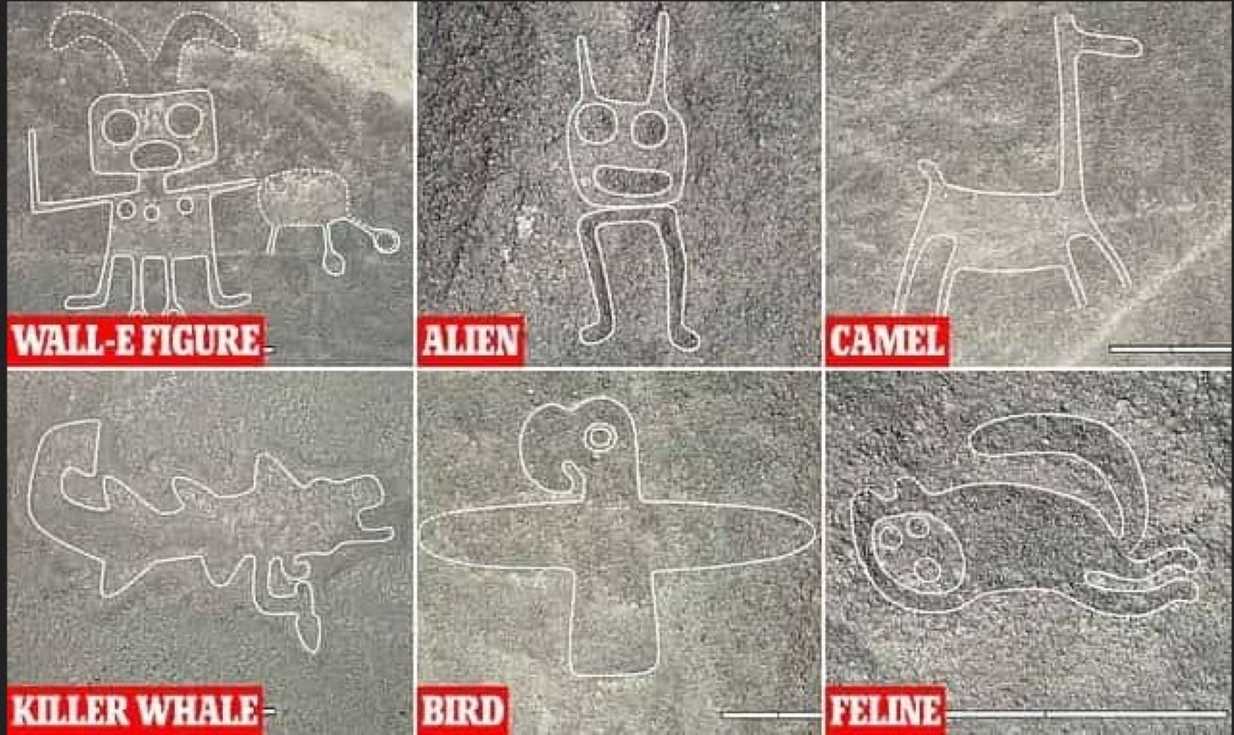 Geoglifo de animales, pájaros o criaturas marinas en Nazca