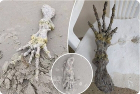 Mano-de-alienigena-varada-en-una-playa-de-Brasil.jpg