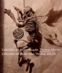 Coleccion-thomas-merlin.jpg