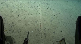 agujeros-descubiertos-por-cientificos-en-el-fondo-del-Oceano-Atlantico.jpg