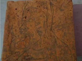 arqueologos-expulsados-de-la-excavacion-tras-un-descubrimiento.jpg