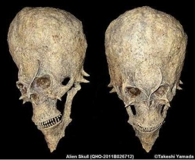 Se-descubrio-un-craneo-alienigena-en-africa3.jpg