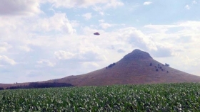 Plantillo-Volador-visto-en-Argentina-antes-de-hacerse-invisible2.jpg