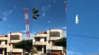 Pajaro-Congelado-en-pleno-vuelo-en-Colombia.jpg