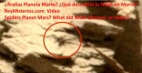 Descubren-una-Arana-extraterrestre.jpg