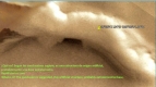 Encontrada-Base-subterranea-planeta-marte.jpg