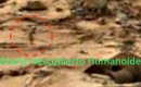 Marte-descubierto-Humanoide.jpg