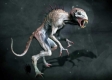Chupacabra-dron-graba-criatura-en-Bolivia2.jpg