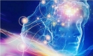 La-conciencia-existe-por-separado-del-cerebro.jpg