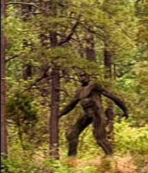 bigfoot-caminando-en-el-bosque.jpg