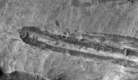 Accidente-ovni-detectado-en-Marte-por-orbitador-de-la-NASA.jpg