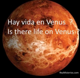Is-there-life-on-Venus.jpg