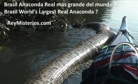 Brasil-Anaconda-mas-grande-del-mundo.jpg