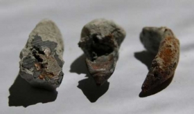 Metal-en-la-piedra-caliza-de-70-millones-de-anos.jpg