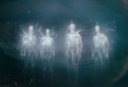 extraterrestres-son-entidades-transdimensionales.jpg