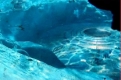 Nave-extraterrestres-Mar-Baltico-2012.jpg