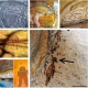 Pinturas-rupestres-que-revelan-la-presencia-de-seres-extraterrestres-en-la-Tierra.jpg