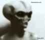 extraterrestres-reales-2012.jpg